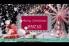 ? Your Christmas Video Greetings – only 99 Euros – for business and private
